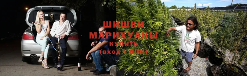 mega зеркало  где купить наркоту  Купино  Бошки Шишки OG Kush 